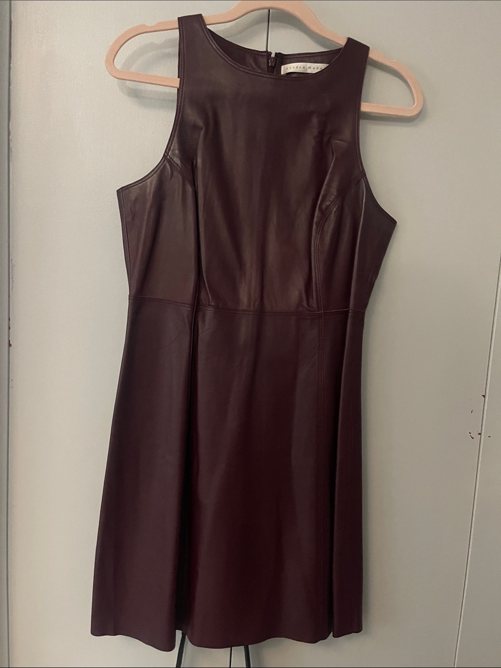 Susana Monaco Sleeveless Leather A-Line Dress in Deep Wine